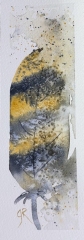 Watercolour Feather