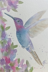 Hummingbird in Purple-Blue