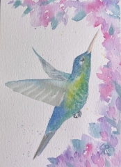Hummingbird in Blue and Yellow