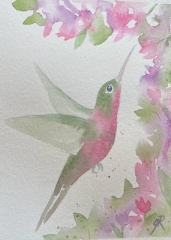 Hummingbird in Reds