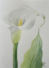 Arrayed