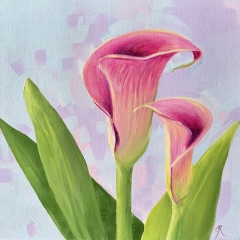 Pink Cala Lilies