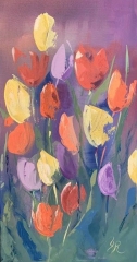 Tulips for Sylvie